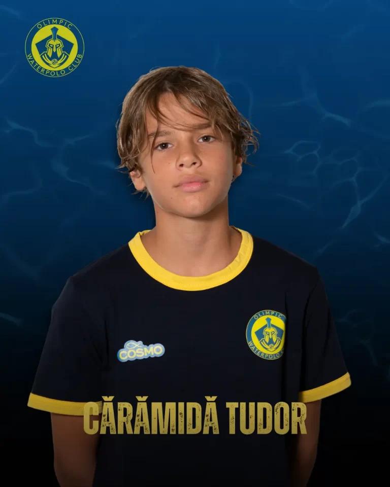 Cărămidă Tudor