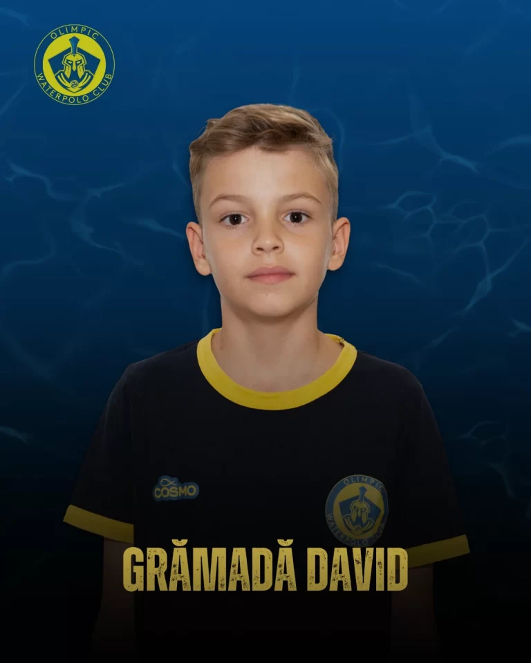 Grămadă David